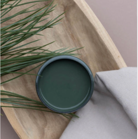 4oz Silk paint