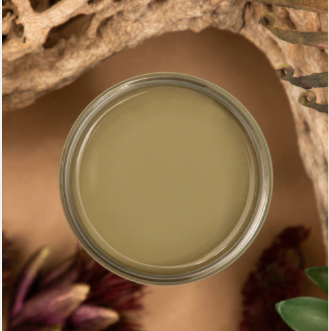 4oz Silk paint