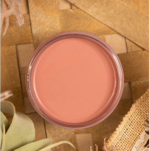 4oz Silk paint