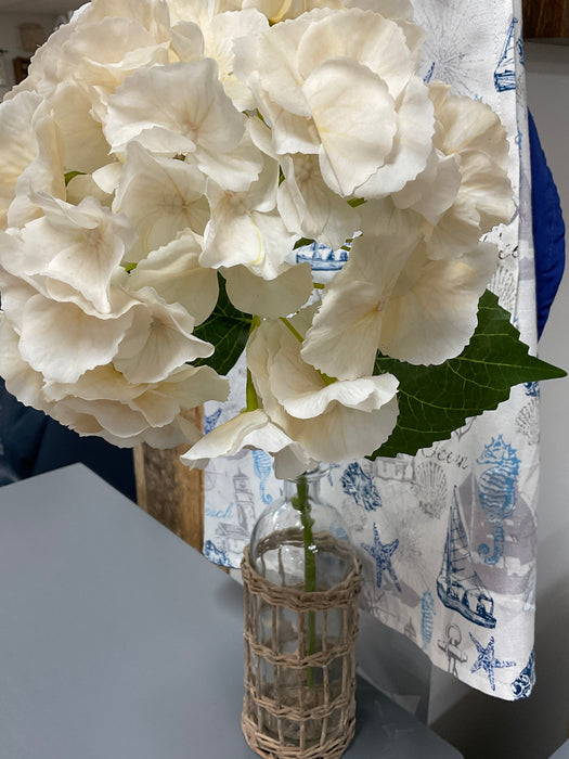Hydrangea - White