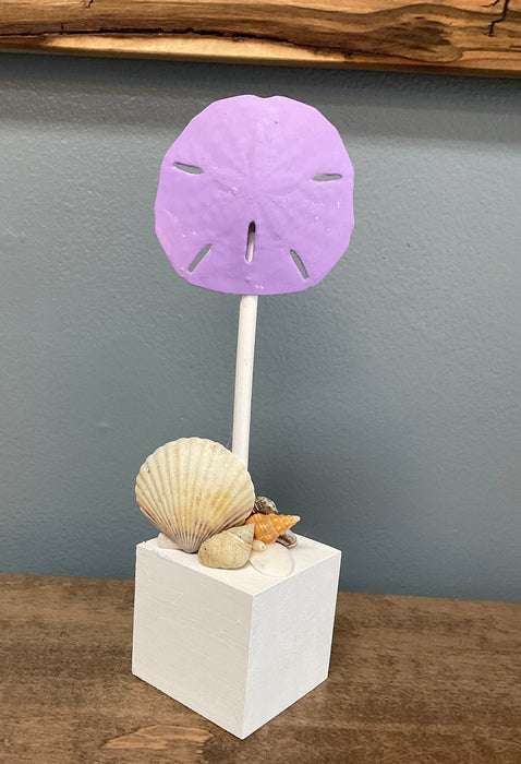 Sand Dollar on Block