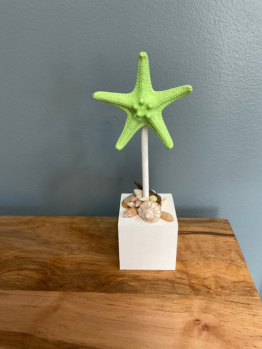 Knobby Starfish on Block
