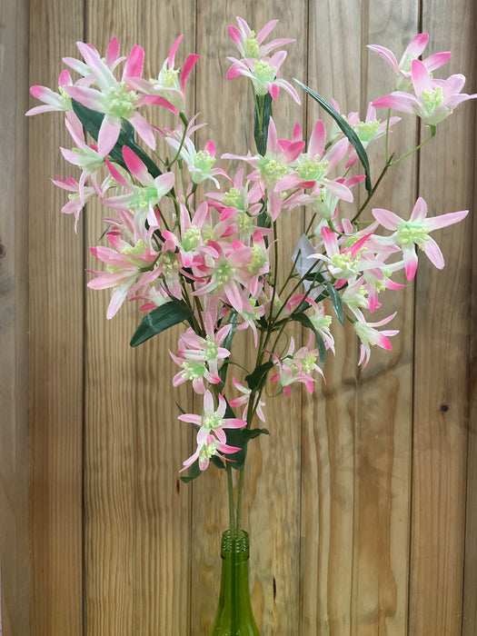 Wildflowers
