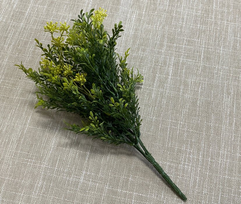 Tea leaf berry plant