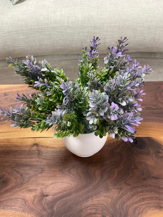 Boxwood w/purple