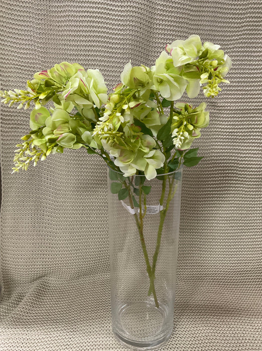 Wisteria Stem