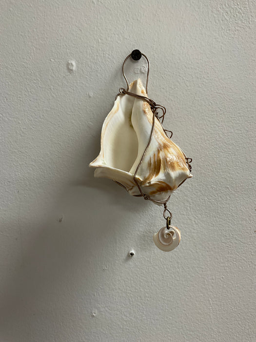 Hanging whelk shell decorated