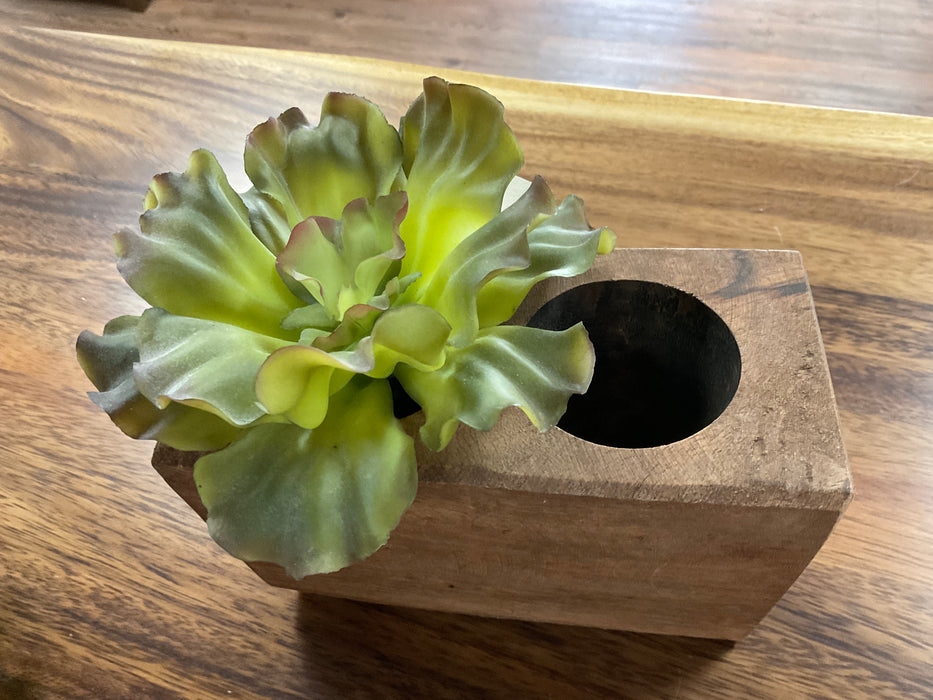 Sugar molds two hole