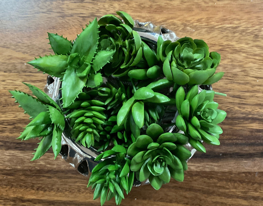 Assorted Faux Succulents-Dark Green