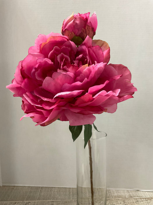 Peony Flower Stem