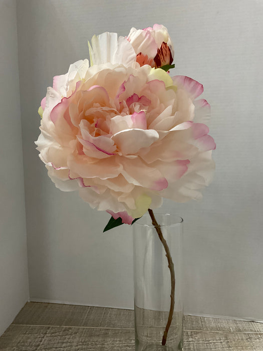 Peony Flower Stem