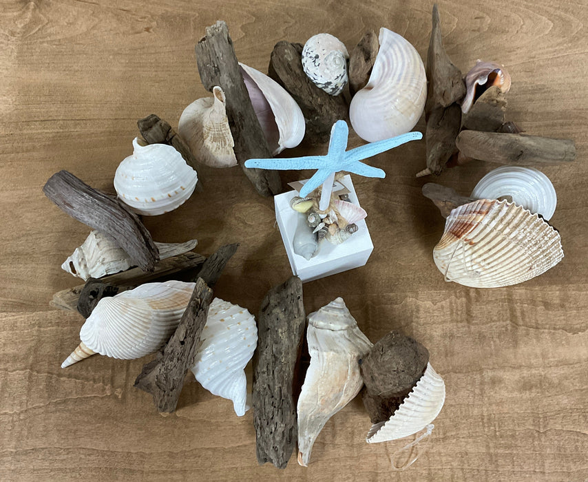 Driftwood and shell garland