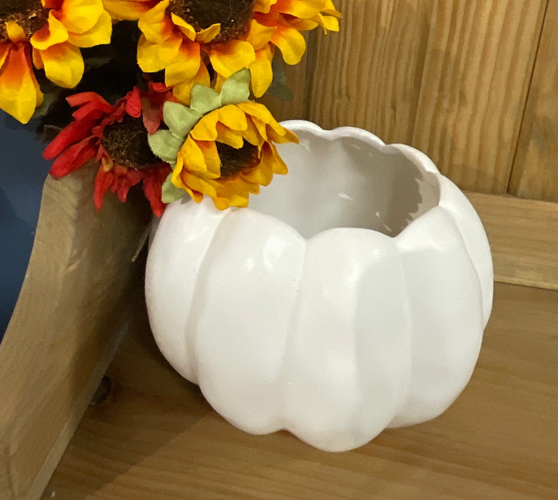 Pumpkin Planter