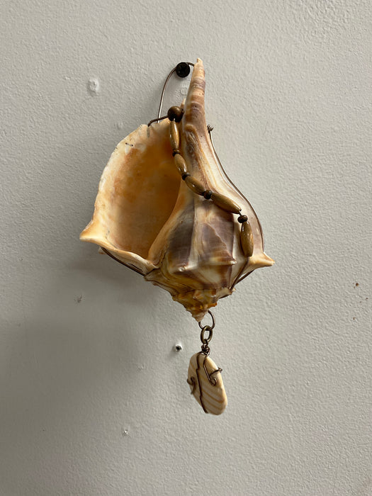 Hanging whelk shell decorated