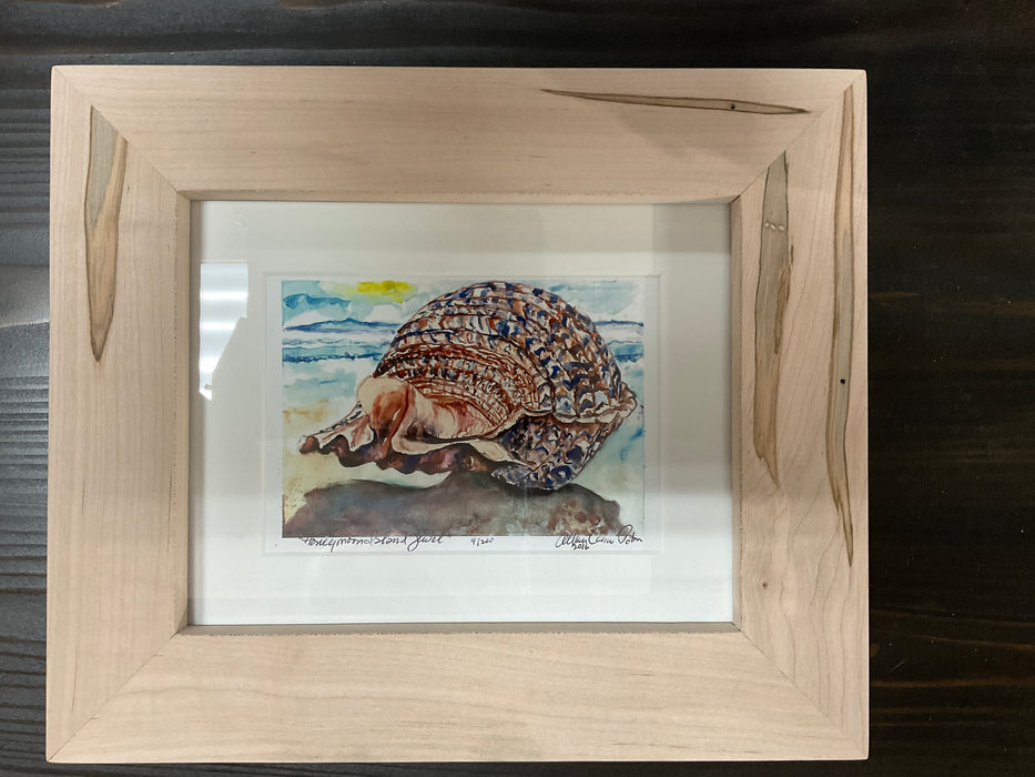 Framed Watercolor Print - sea shells