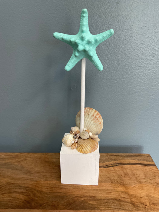 Knobby Starfish on Block