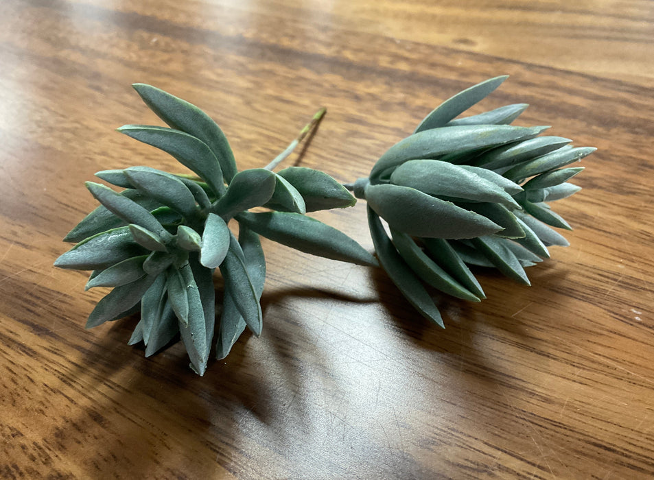 Assorted faux succulents-Light Green