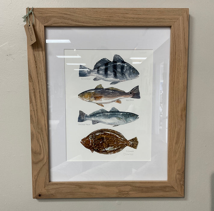 Framed Watercolor Print - Flounder