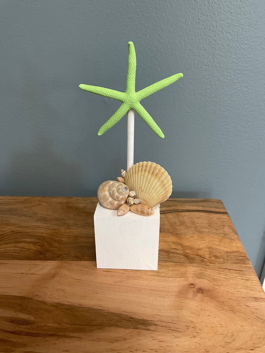 Skinny Starfish on Block