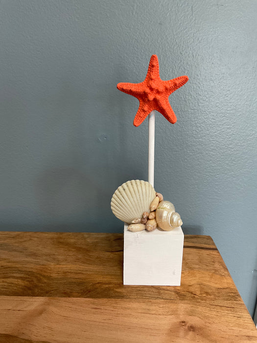 Knobby Starfish on Block