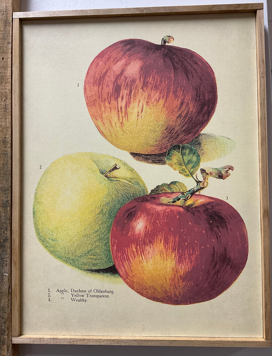 Harvest Print