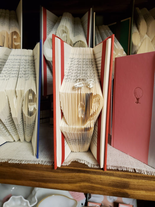 Folded Books