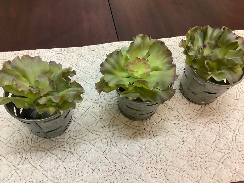 Succulent, green, artificial