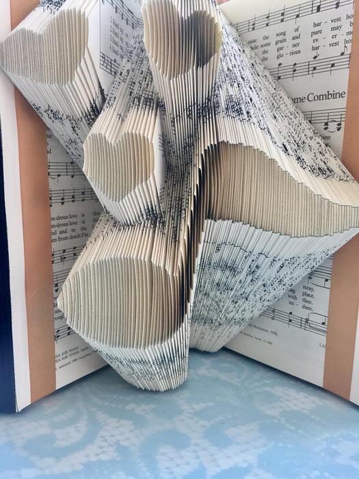 Folded Books