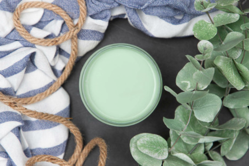 8oz DixieBelle Mineral Paint