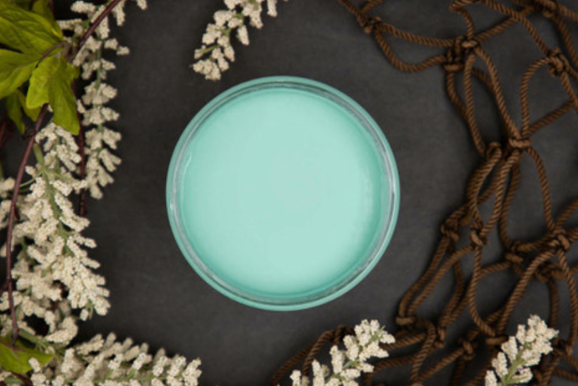 8oz DixieBelle Mineral Paint