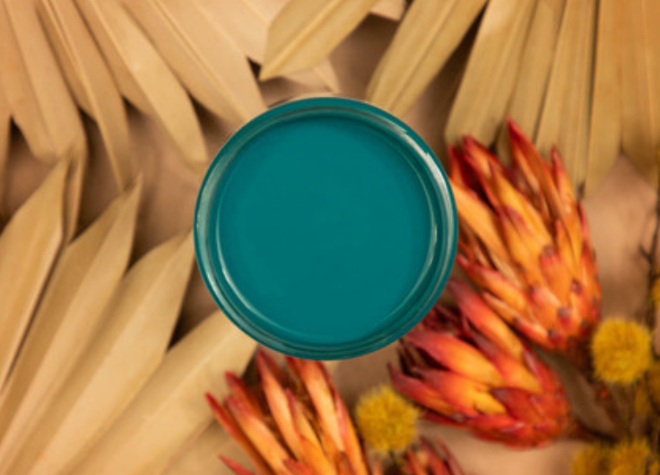 4oz Silk paint