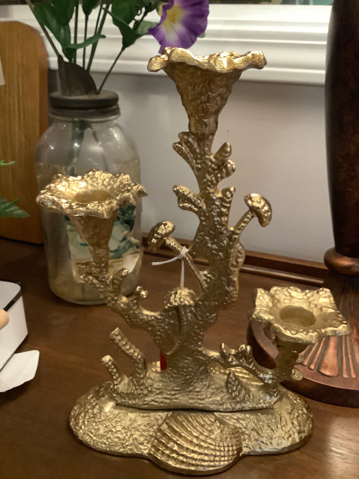 Bottom of the sea candelabra