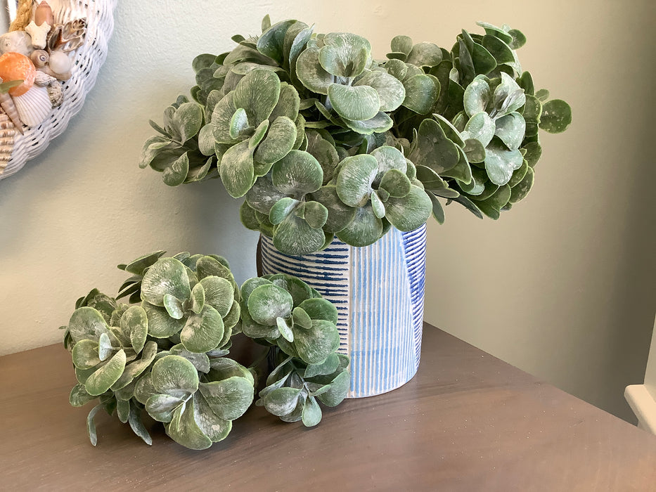 Jade bush - 11”