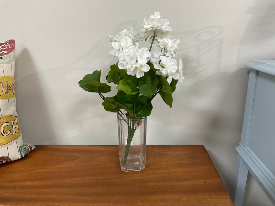 White geranium bush