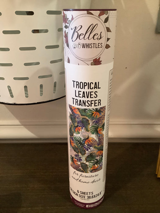 Dixie Belle transfer