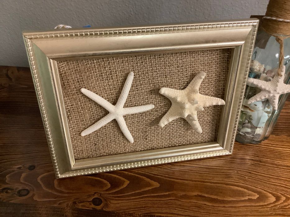 Framed starfish art