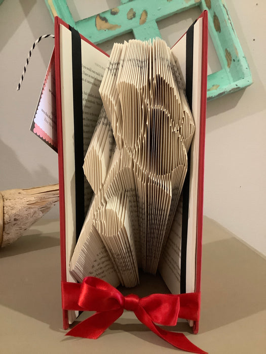 Folded Books