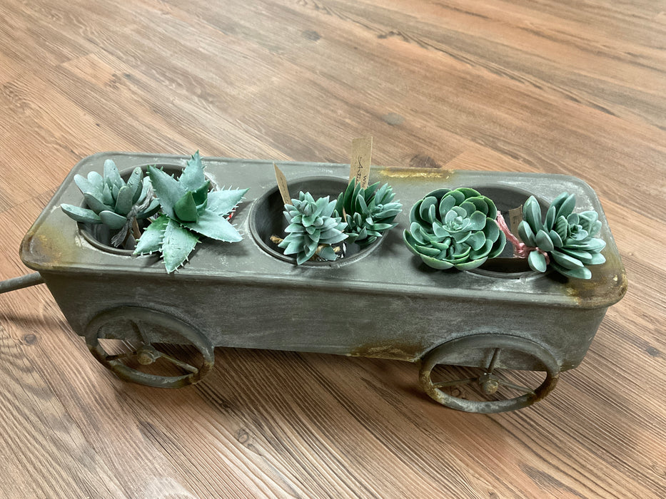 Assorted faux succulents-Light Green