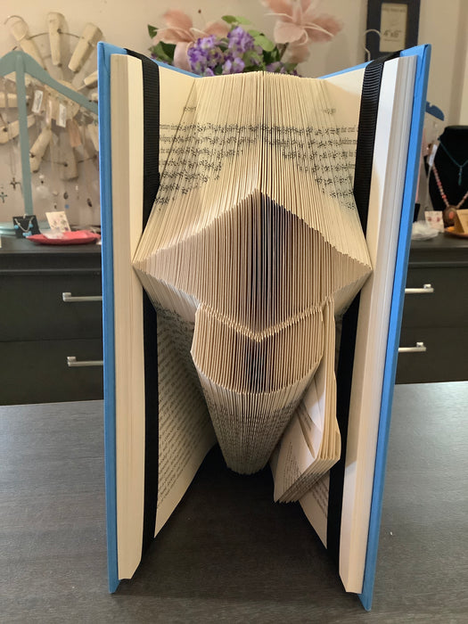 Folded Books