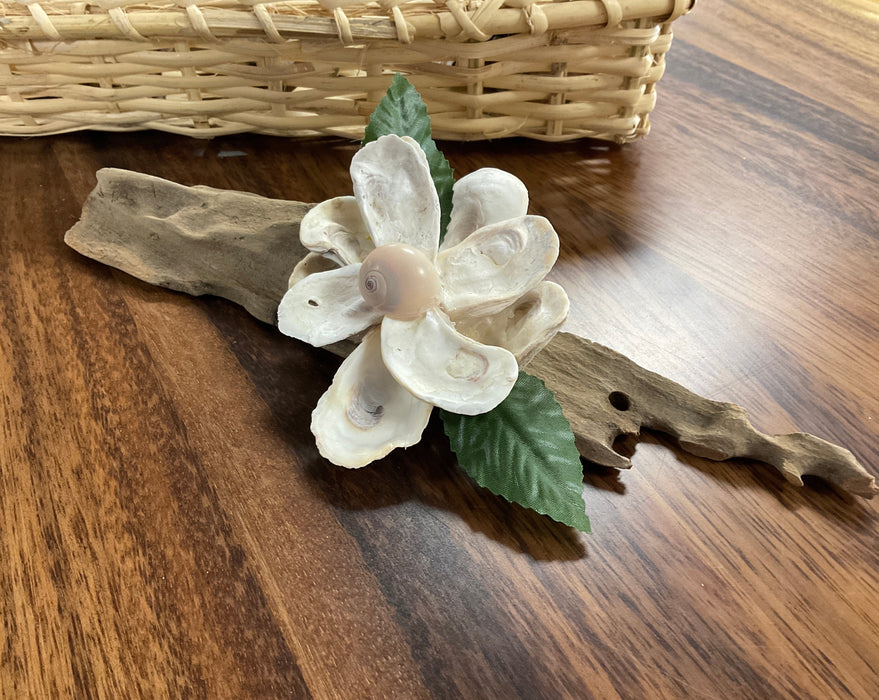 Magnolia shell flower