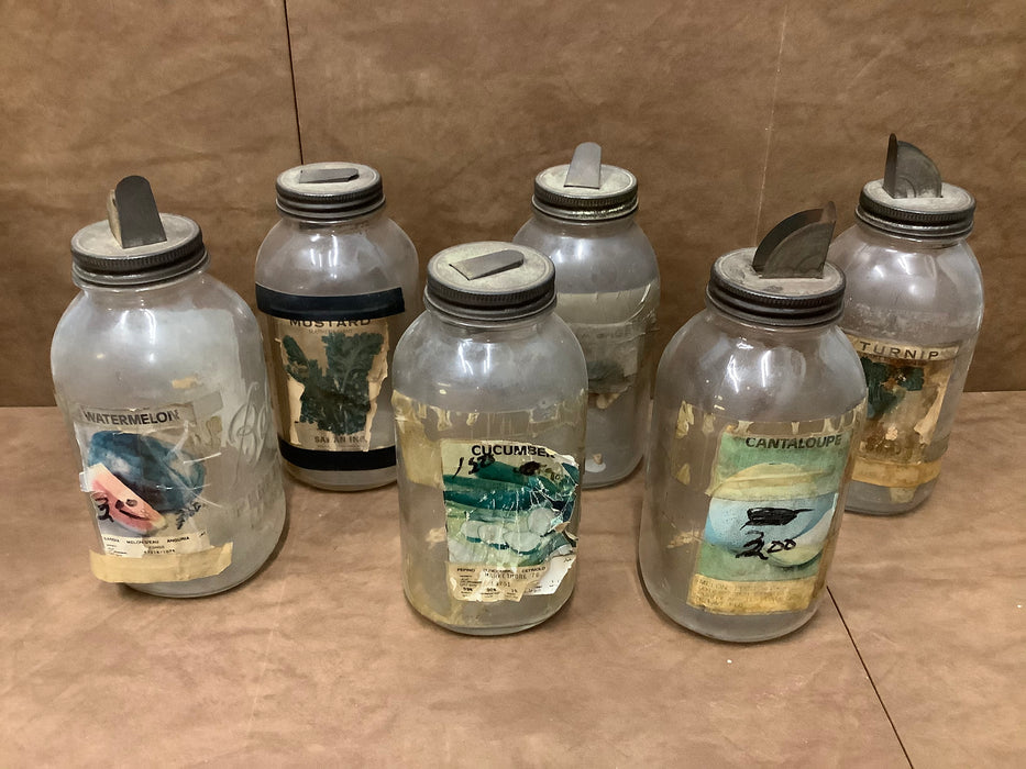 Glass seed jars