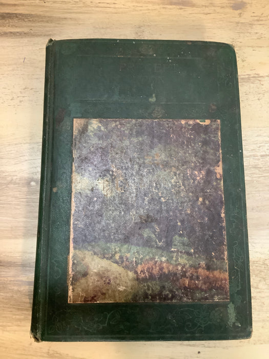 1878 Precept Upon Precept book
