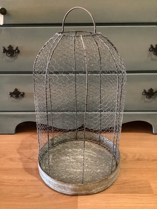 Wire mesh cloche with base