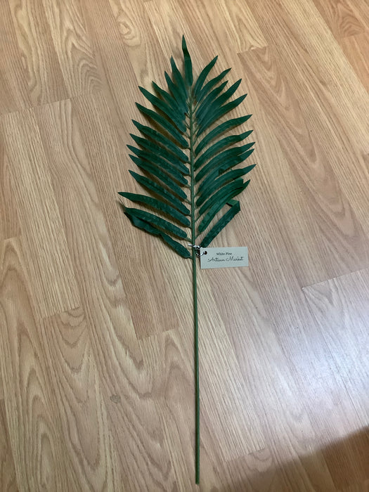 Palm dark green greenery