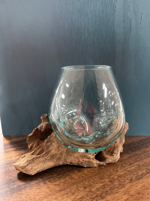 Bubble glass on driftwood