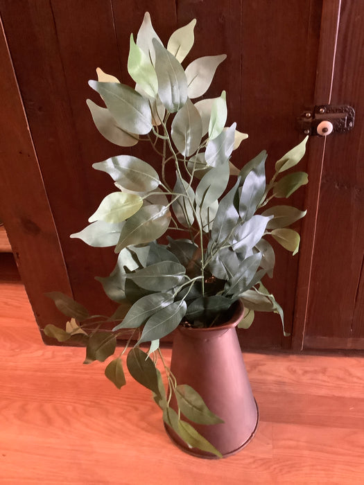 Ficus spray