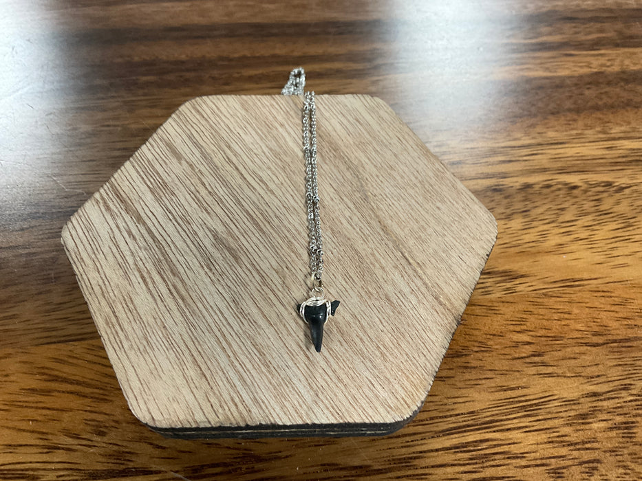 Shark tooth necklace