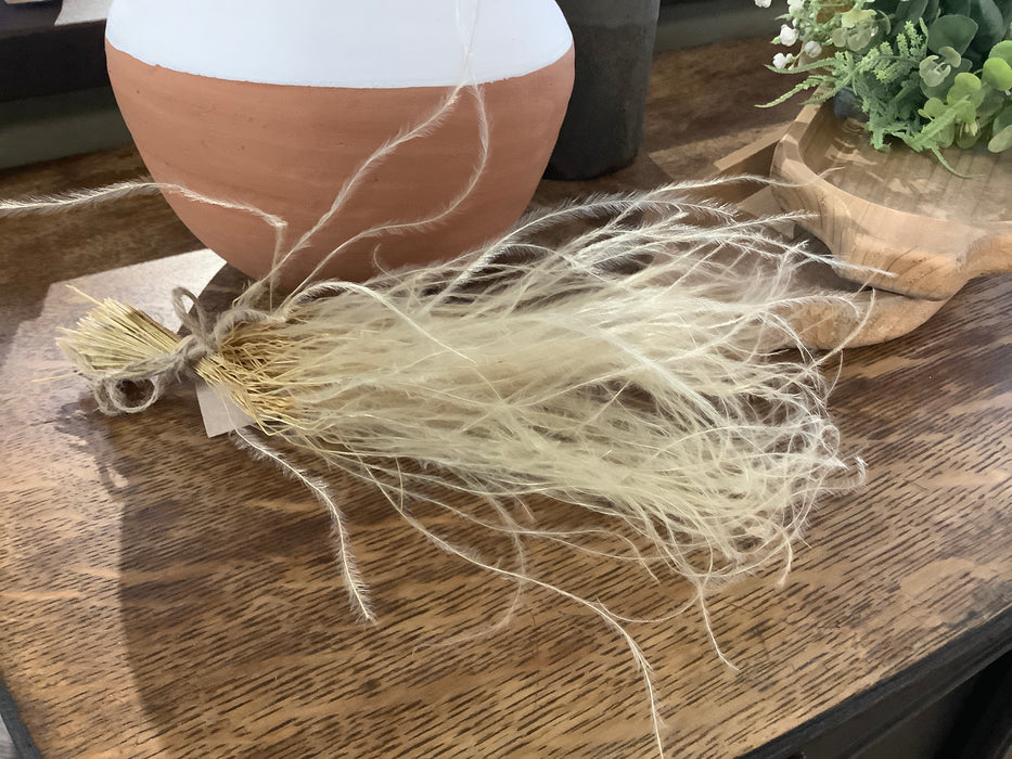 Ornamental feather grass