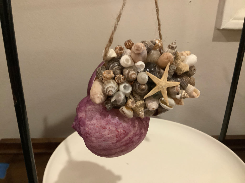 Shell with baby shell ornament
