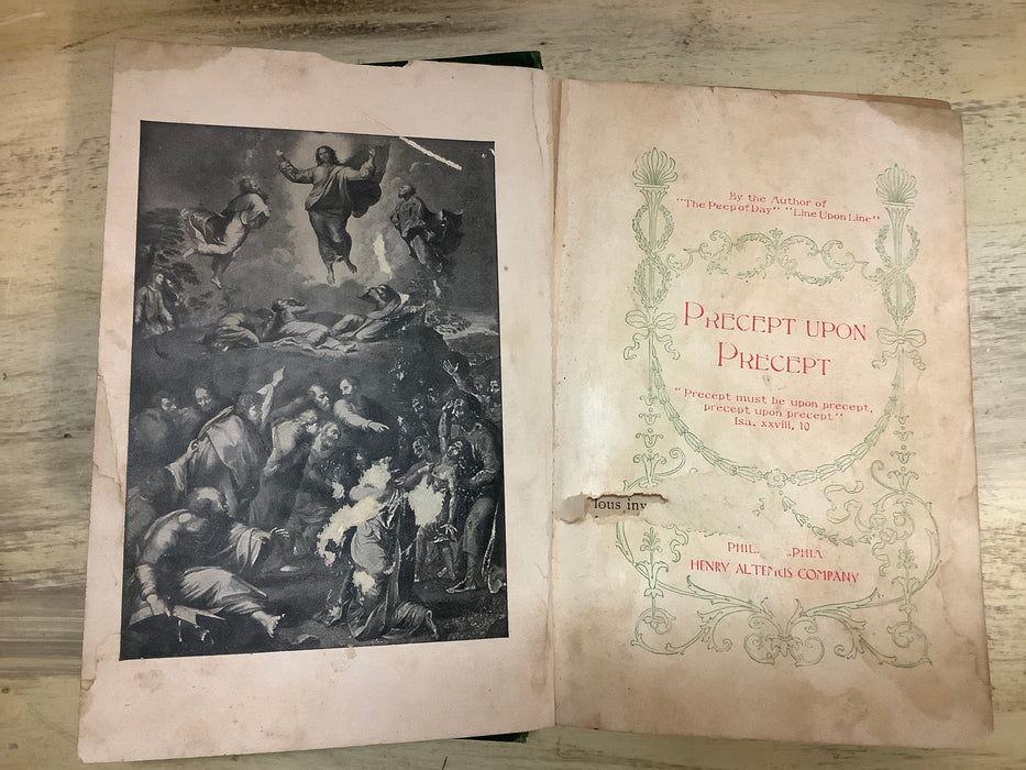 1878 Precept Upon Precept book